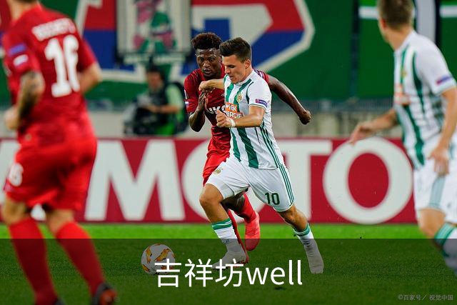 吉祥坊well 公司简介